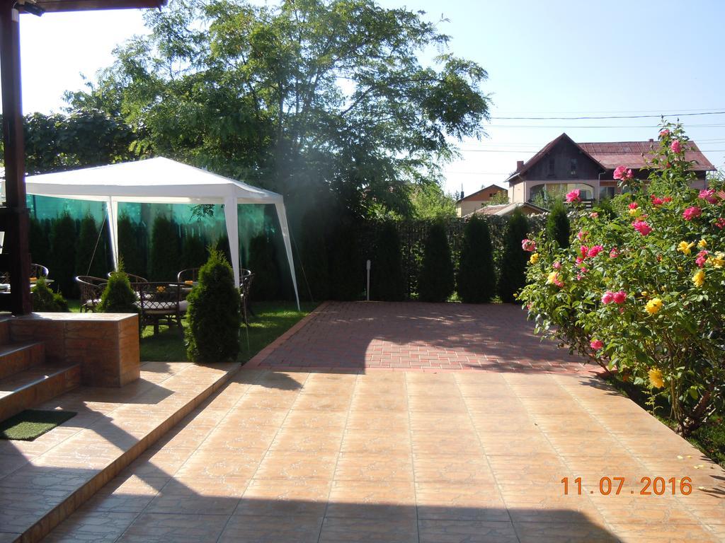Pensiunea Marina Cîmpina Ngoại thất bức ảnh