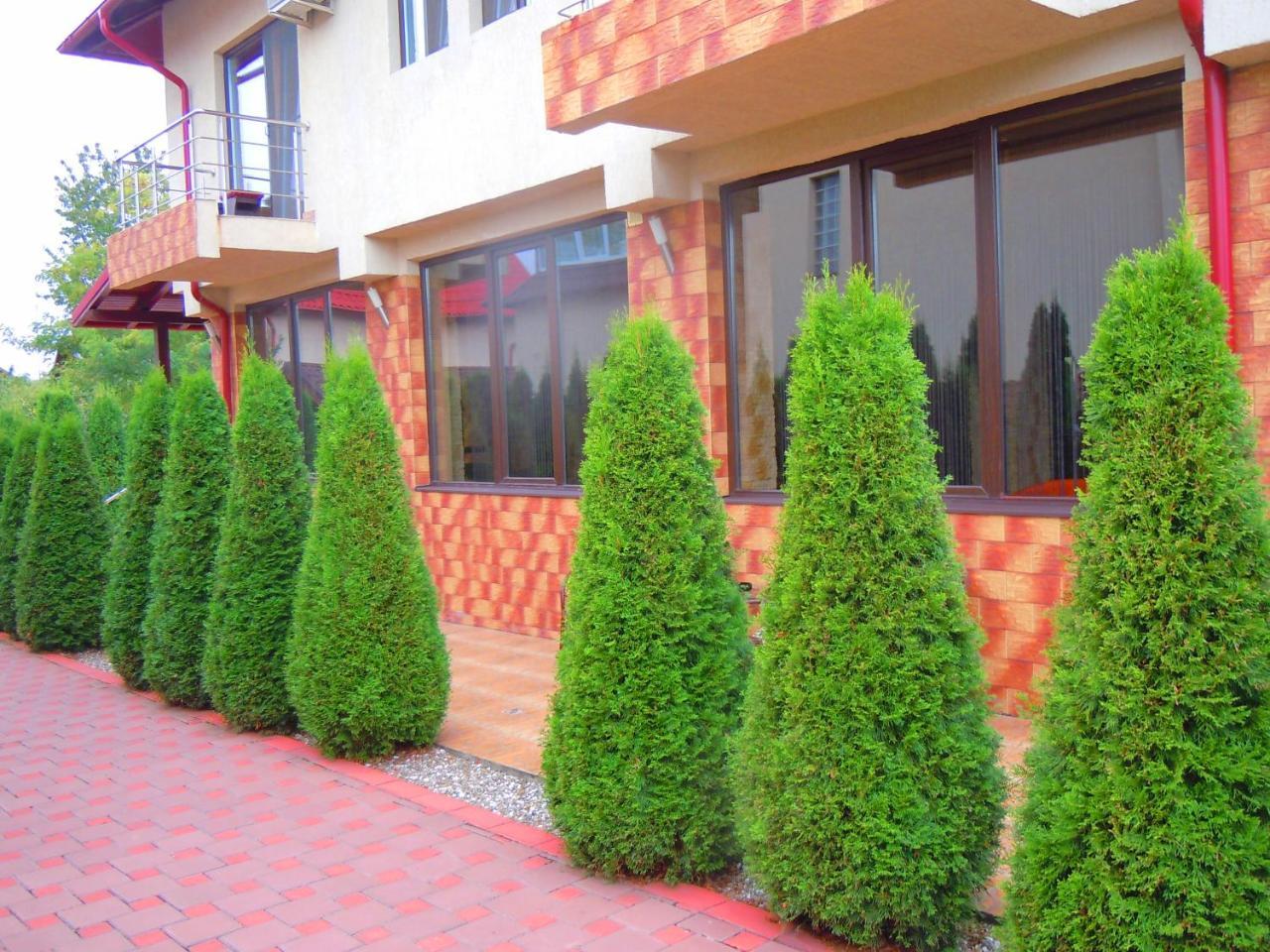 Pensiunea Marina Cîmpina Ngoại thất bức ảnh